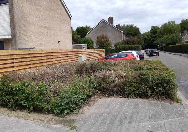 Groenvak in de Bornholmbuurt van Delfzijl-Noord