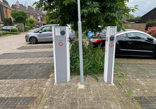 Openbare laadpalen in Eemsdelta
