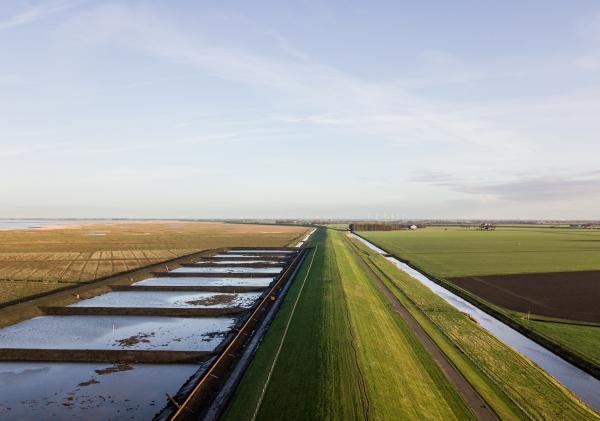 Foto van De locatie Brede Groene Dijk met kleirijperij op de kwelder Fotografie Waterschap Hunze en Aas