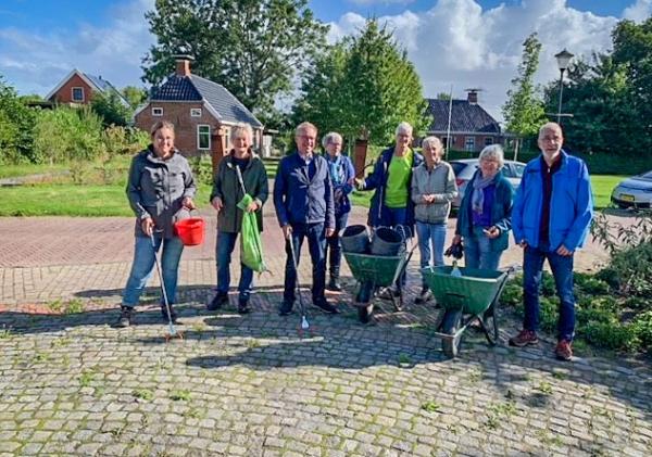 Clean up day