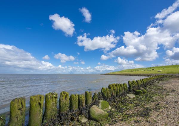 Foto van de Dijk bij Bierum