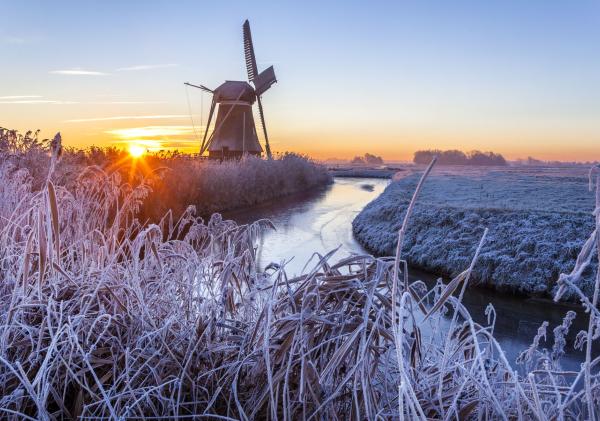 Molen Hoeksmeer
