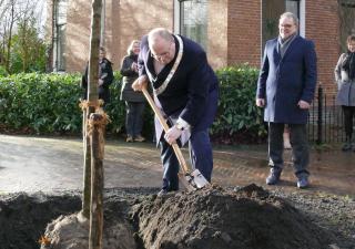 Burgemeester Visser plant de burgemeestersboom achter de Nicolaikerk.