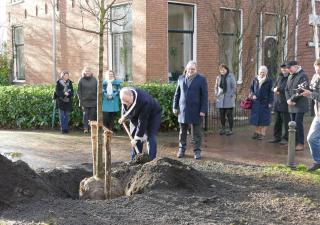 Burgemeester Visser plant de burgemeestersboom